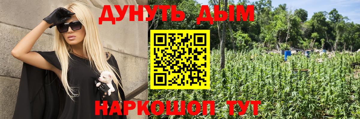Конопля Amnesia  Конопля SATIVA & INDICA  Вход с VPN  Балашов 